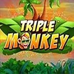 Triple Monkey